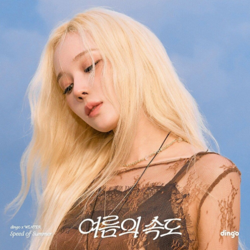 앨범커버 